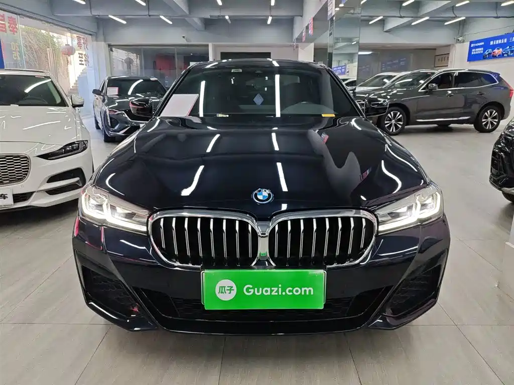 BMW  5 SERIES NEW ENERGY