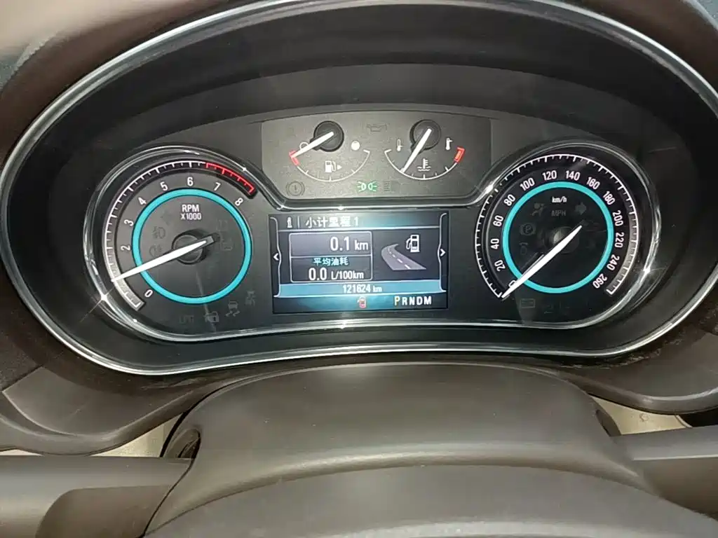 Buick Regal — миниатюра 12