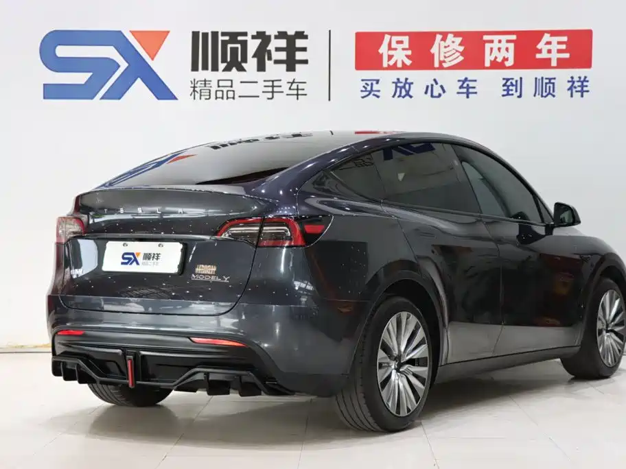 Tesla Model Y — миниатюра 4
