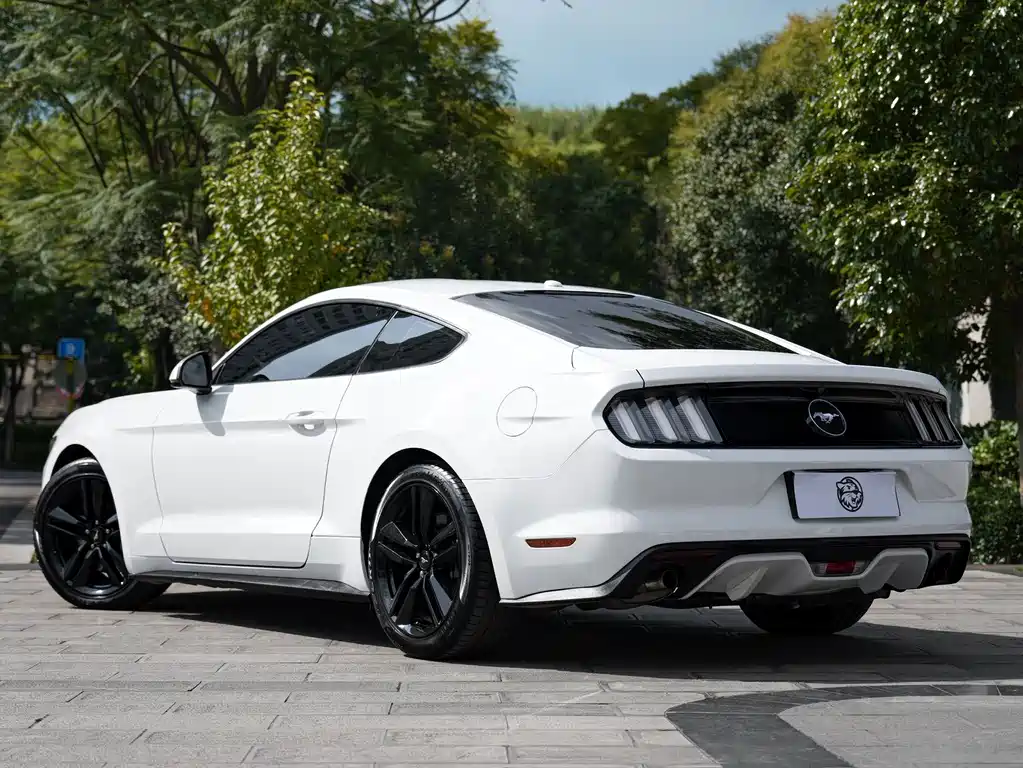 Ford Mustang — миниатюра 12