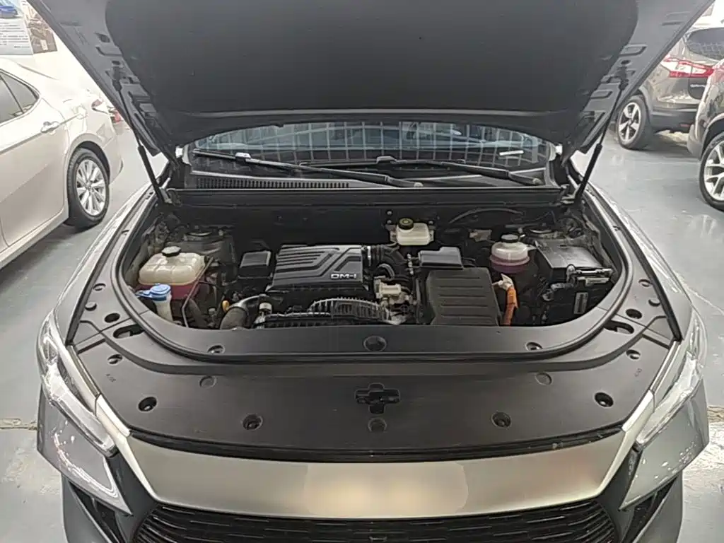 BYD Pro New Energy — миниатюра 20