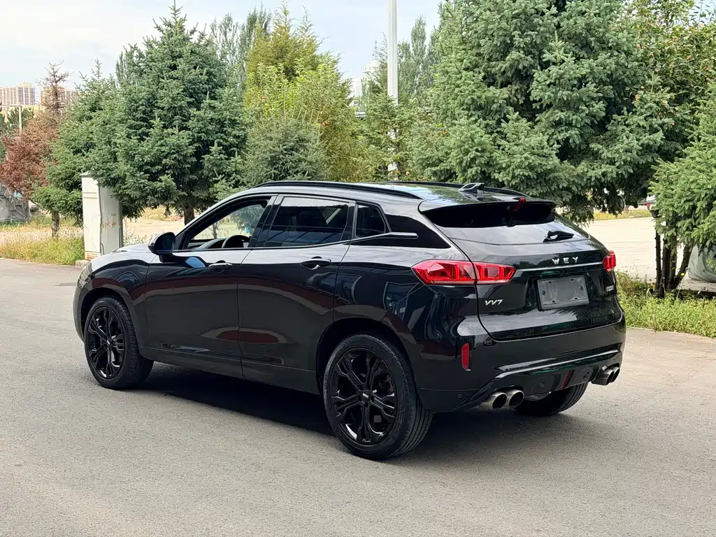 Wey Wey VV7 — миниатюра 4
