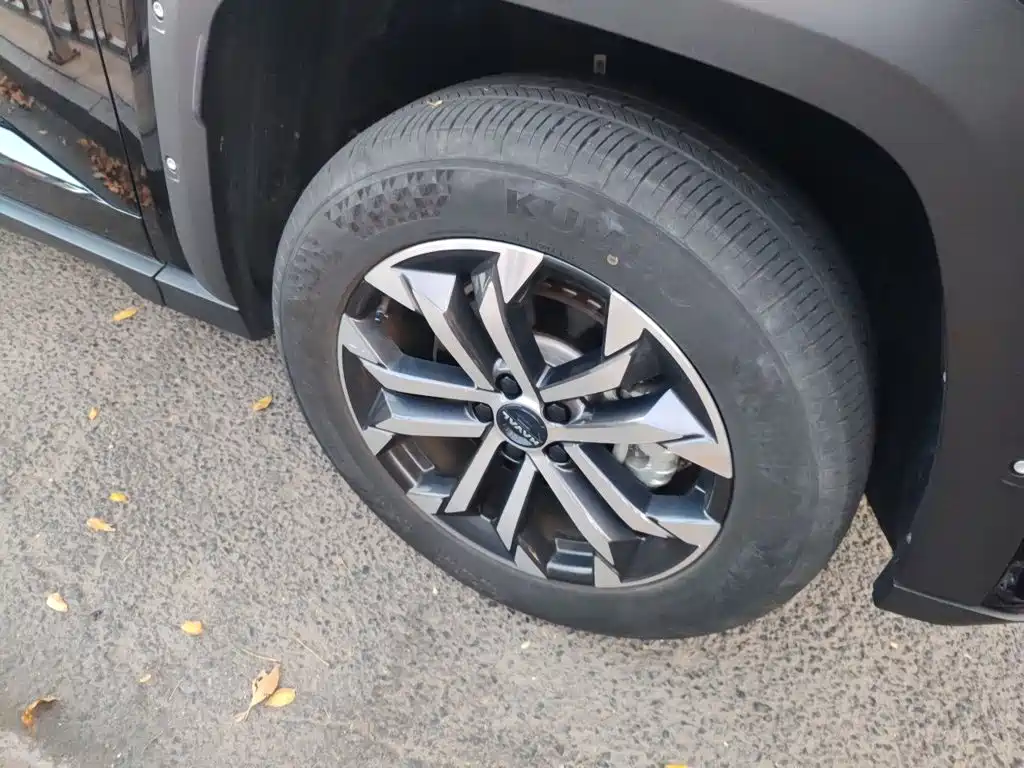 Haval Big Dog PLUS — миниатюра 8