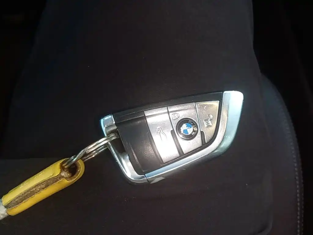 BMW X5 (Import) — миниатюра 9