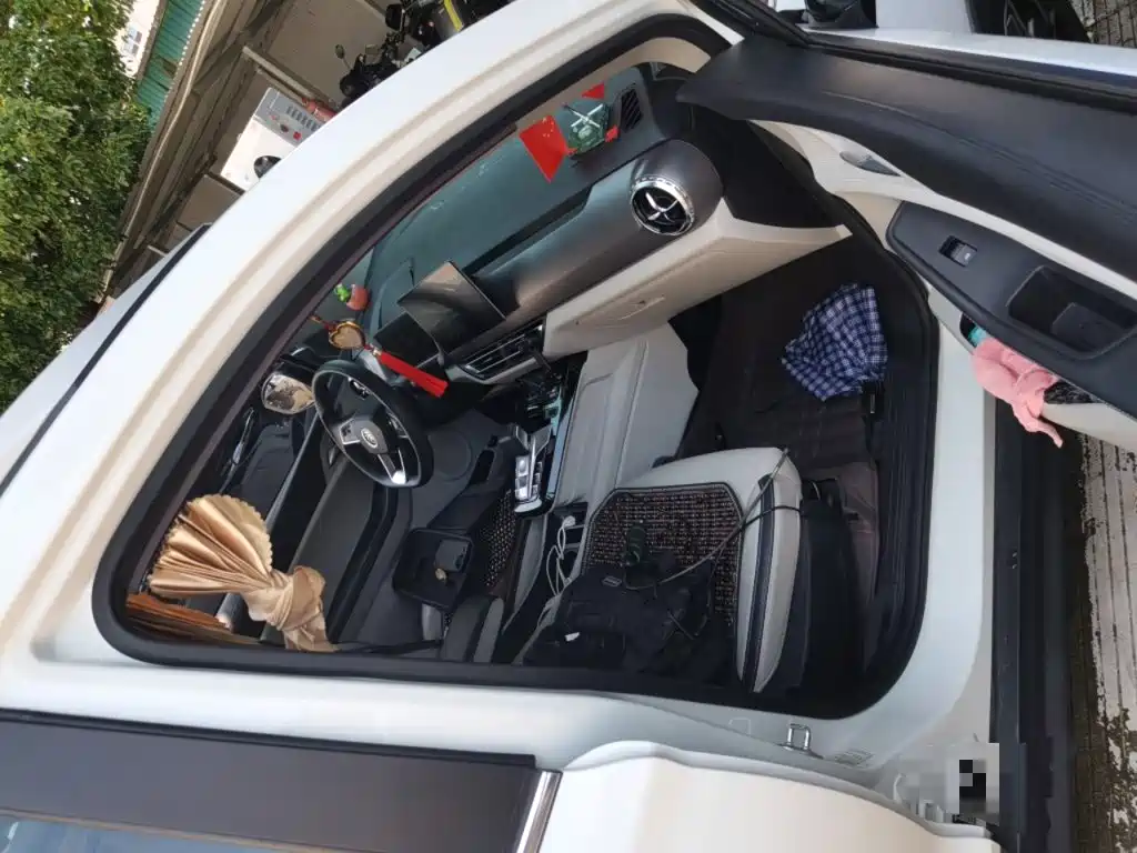 BYD Yuan Pro — миниатюра 20