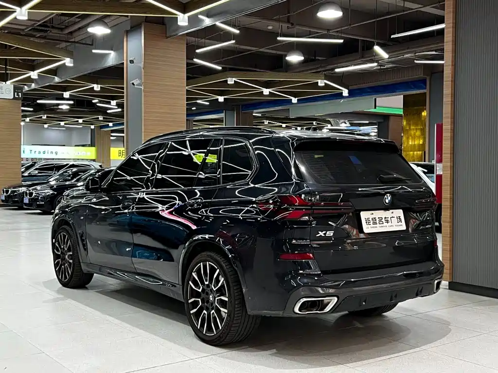 BMW X5 — миниатюра 12