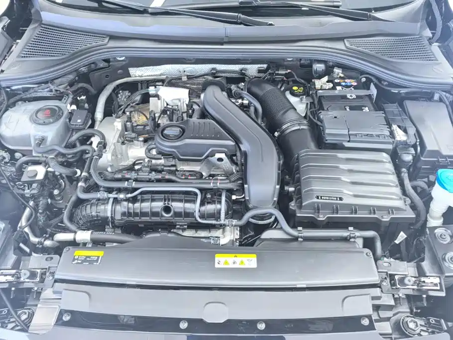 Volkswagen Magotan 2024 300TSI DSG Premium