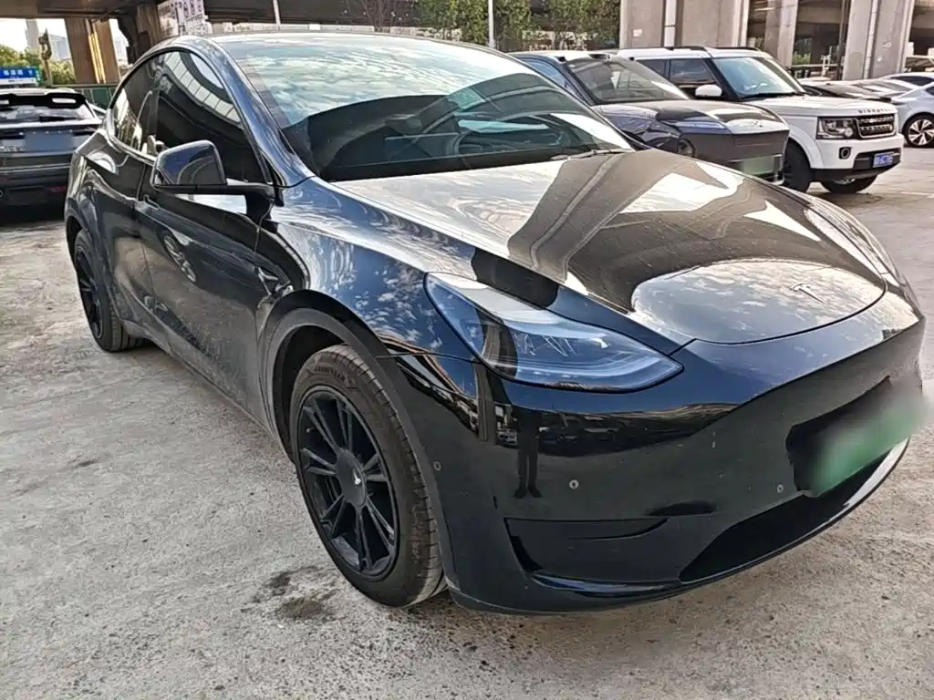 Tesla Model Y — миниатюра 4