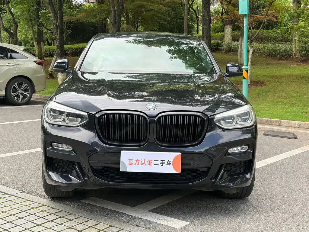 BMW X4 — миниатюра 2