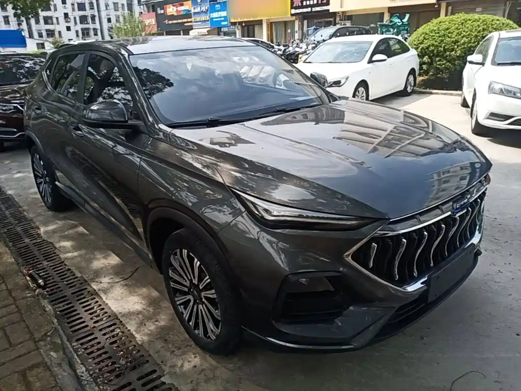Oshan Oushang X5 — миниатюра 4