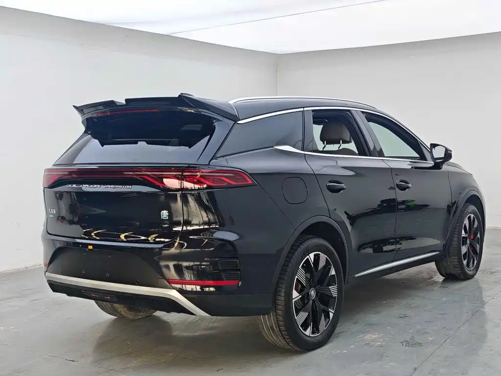 BYD Tang New Energy — миниатюра 7
