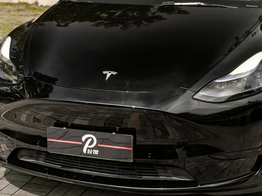Tesla Model Y — миниатюра 8