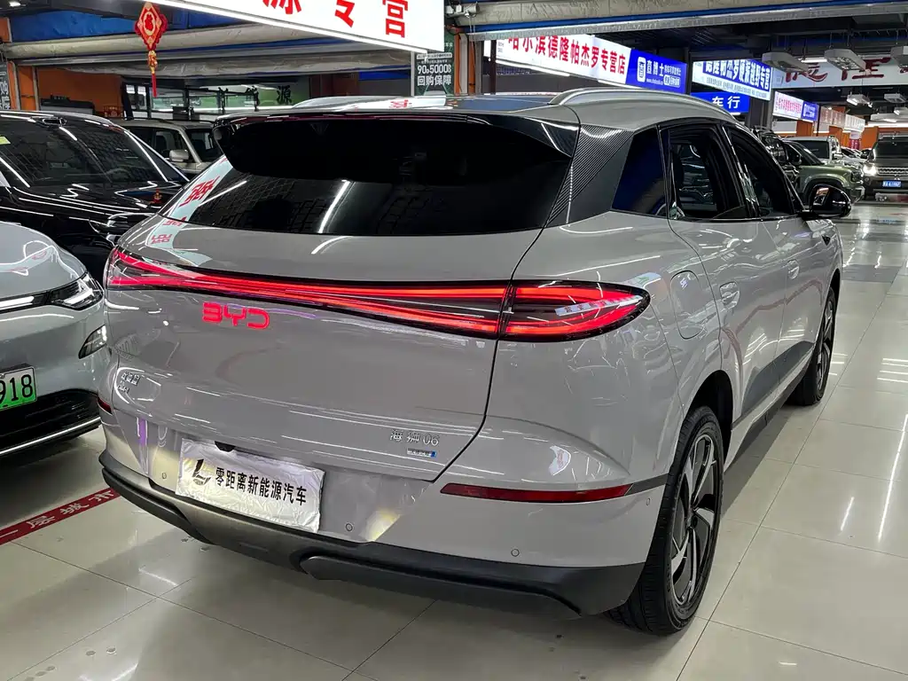 BYD Haisi 06 — миниатюра 6