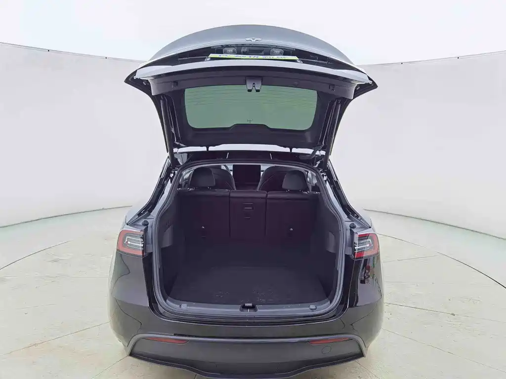 Tesla Model Y — миниатюра 13