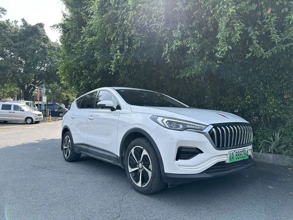 Hongqi Hongqi E-HS3 — миниатюра 2