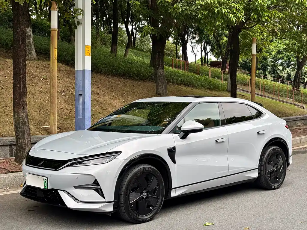 BYD L EV