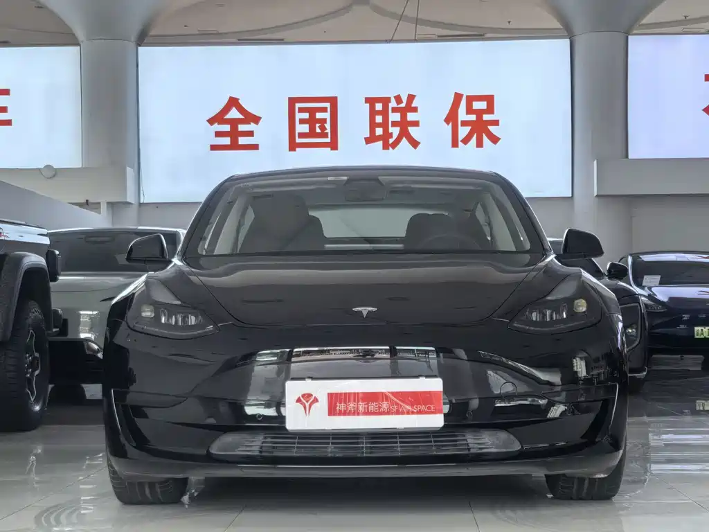 Tesla Model 3 — миниатюра 3