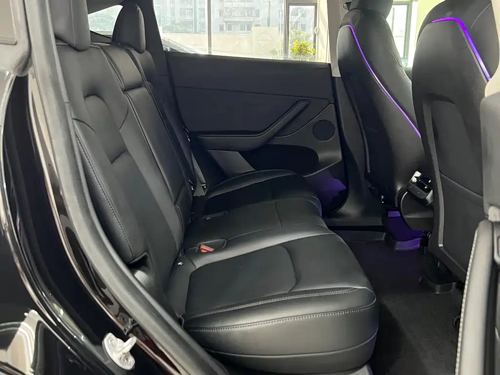 Tesla Model Y — миниатюра 10