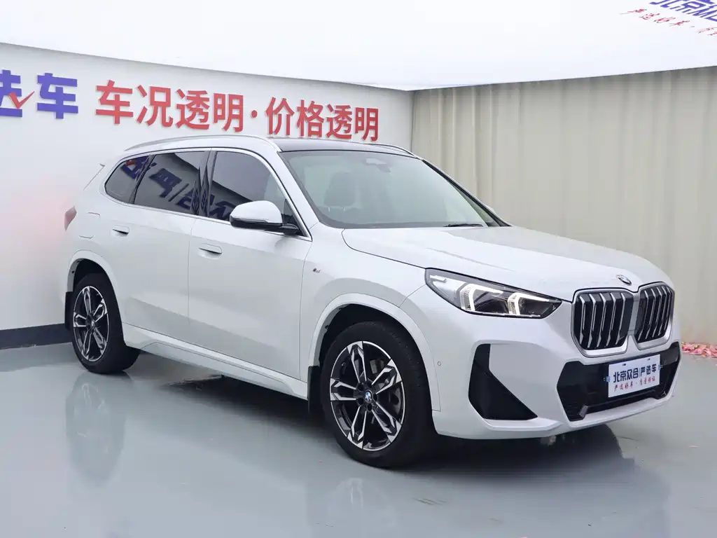 BMW X1 — миниатюра 2