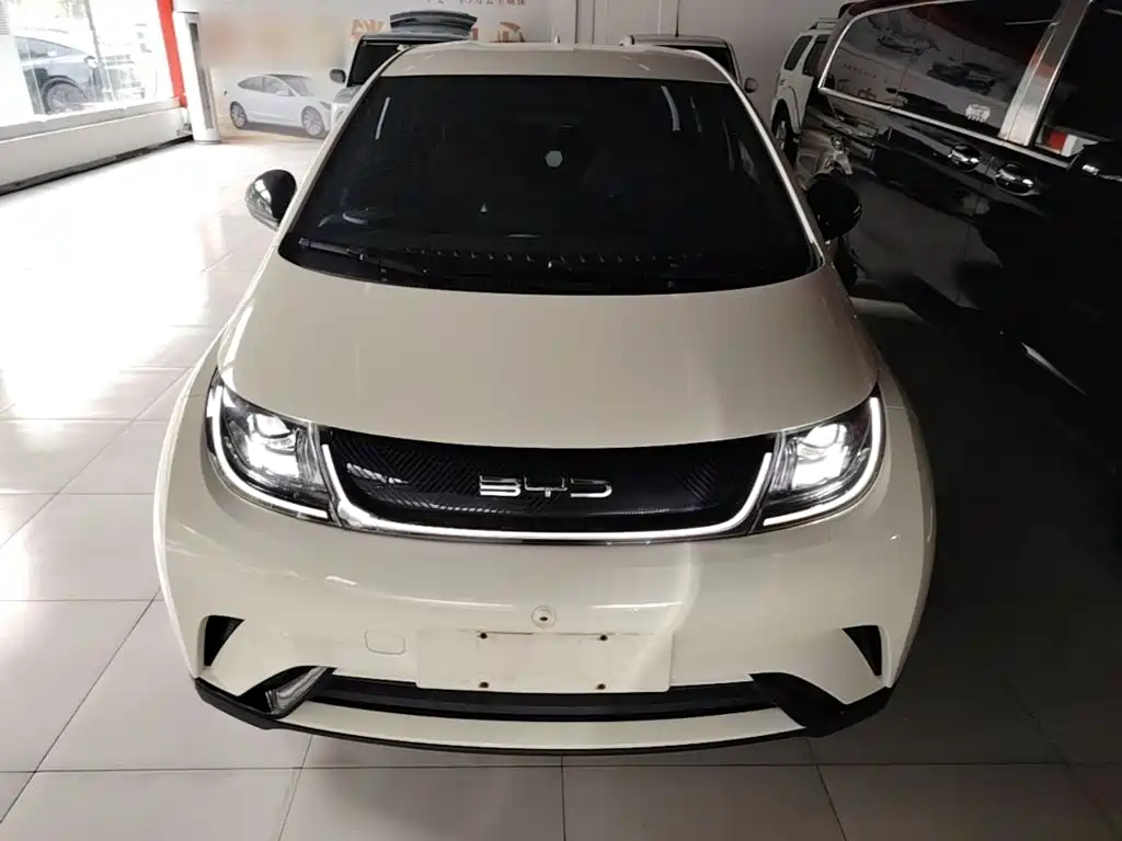 BYD Dolphin — миниатюра 3