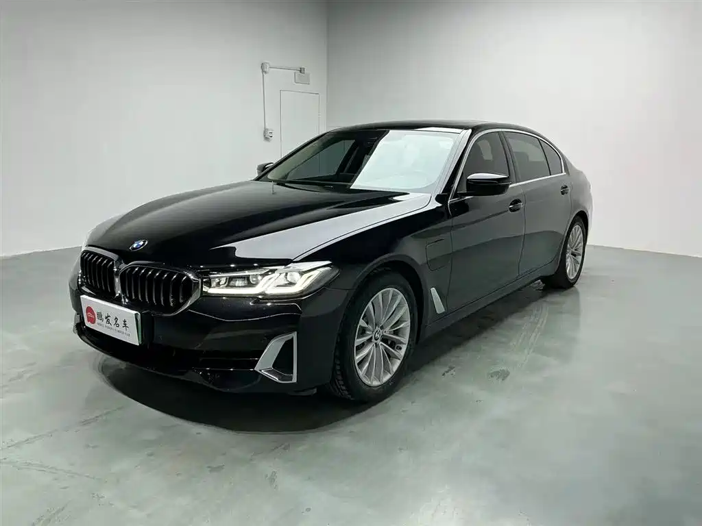 BMW 5 Series New Energy 2021