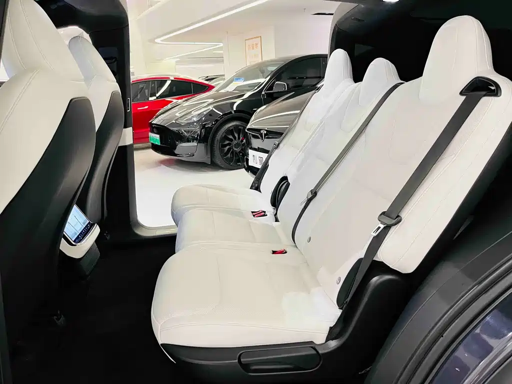 Tesla Model X — миниатюра 29