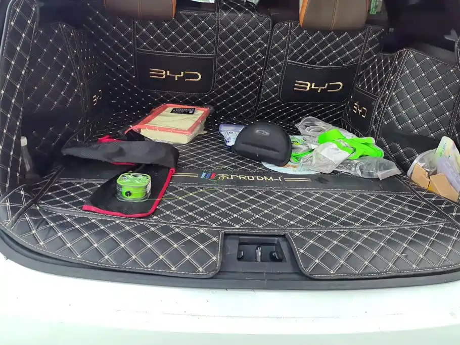 BYD Pro New Energy — миниатюра 4