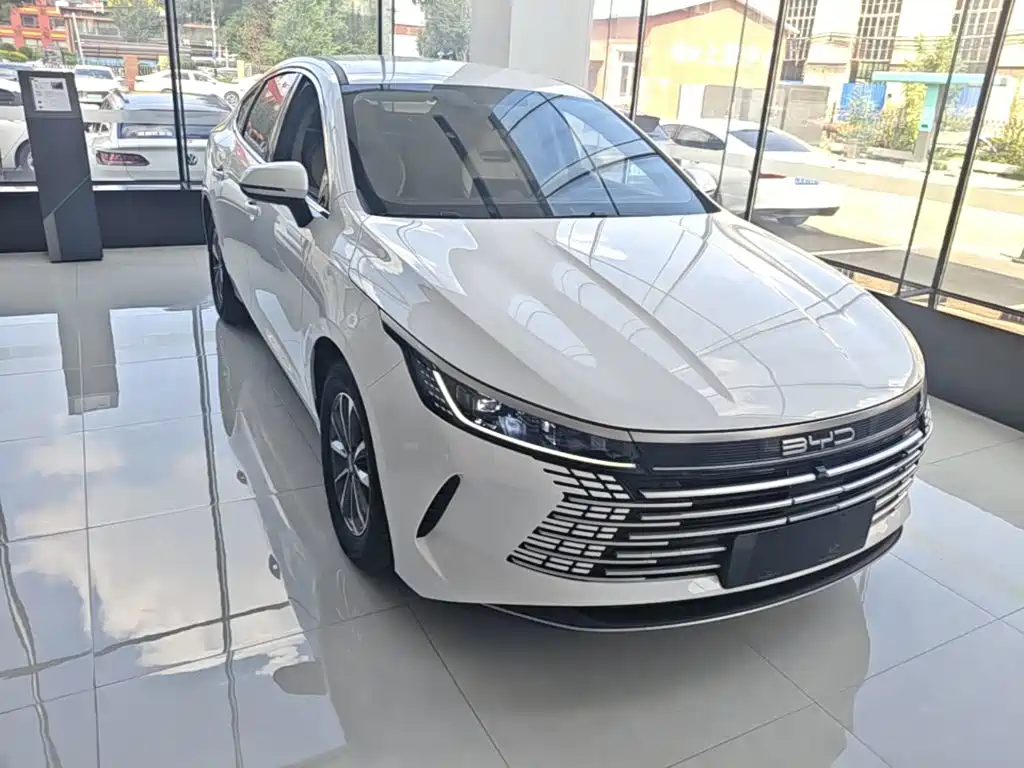 BYD Destroyer 05 — миниатюра 4