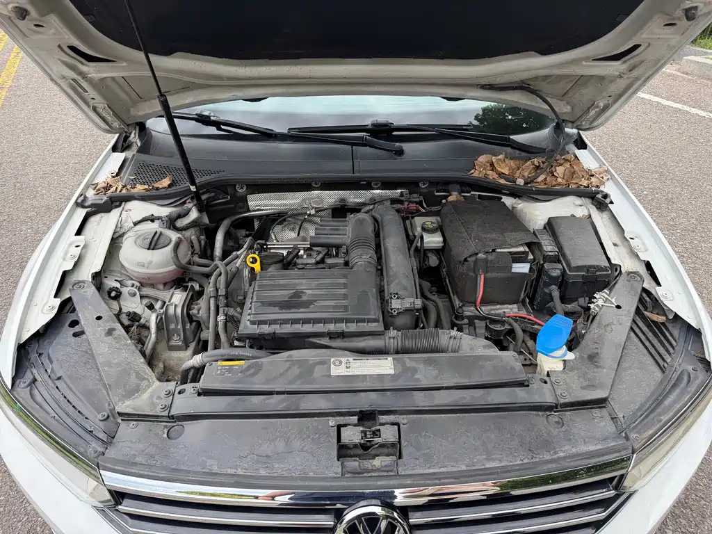 Volkswagen Viloran — миниатюра 10