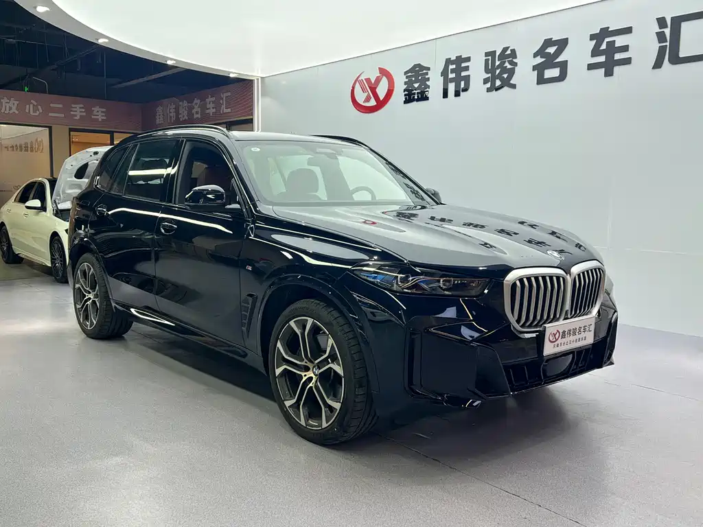 BMW X5 — миниатюра 4