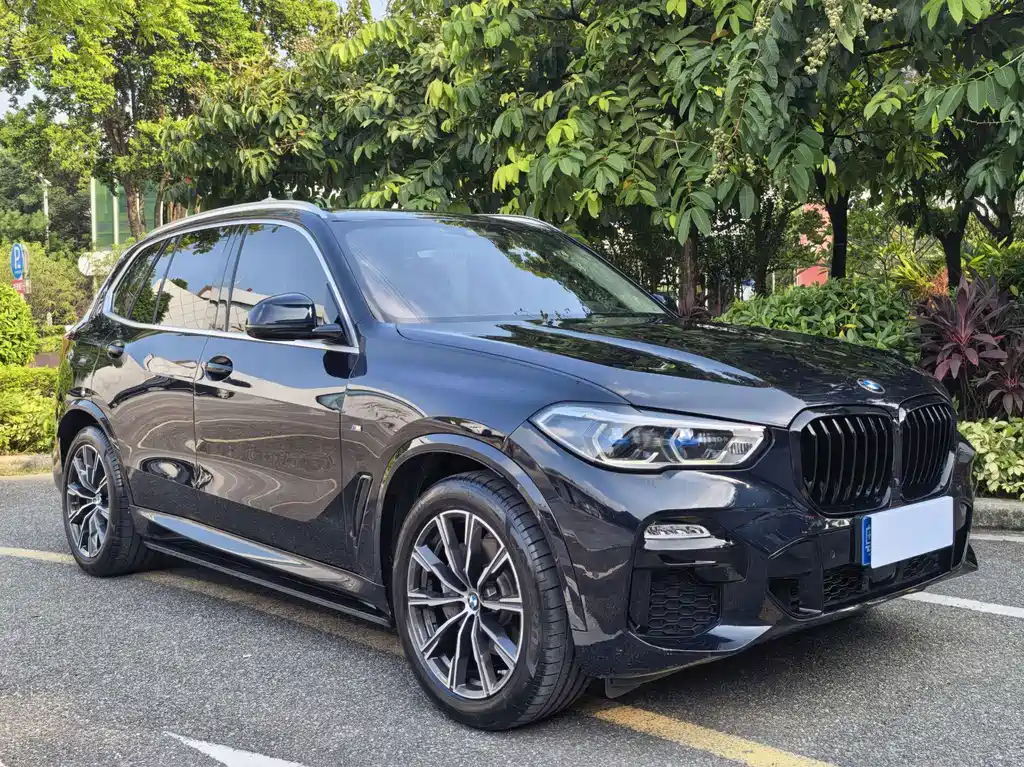 BMW X5 (Import) — миниатюра 3