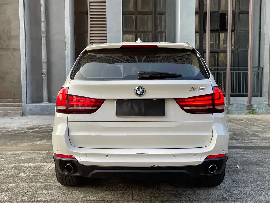 BMW X5 (Import) — миниатюра 5
