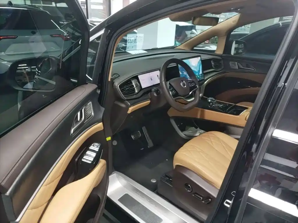 Denza Denza D9 — миниатюра 16