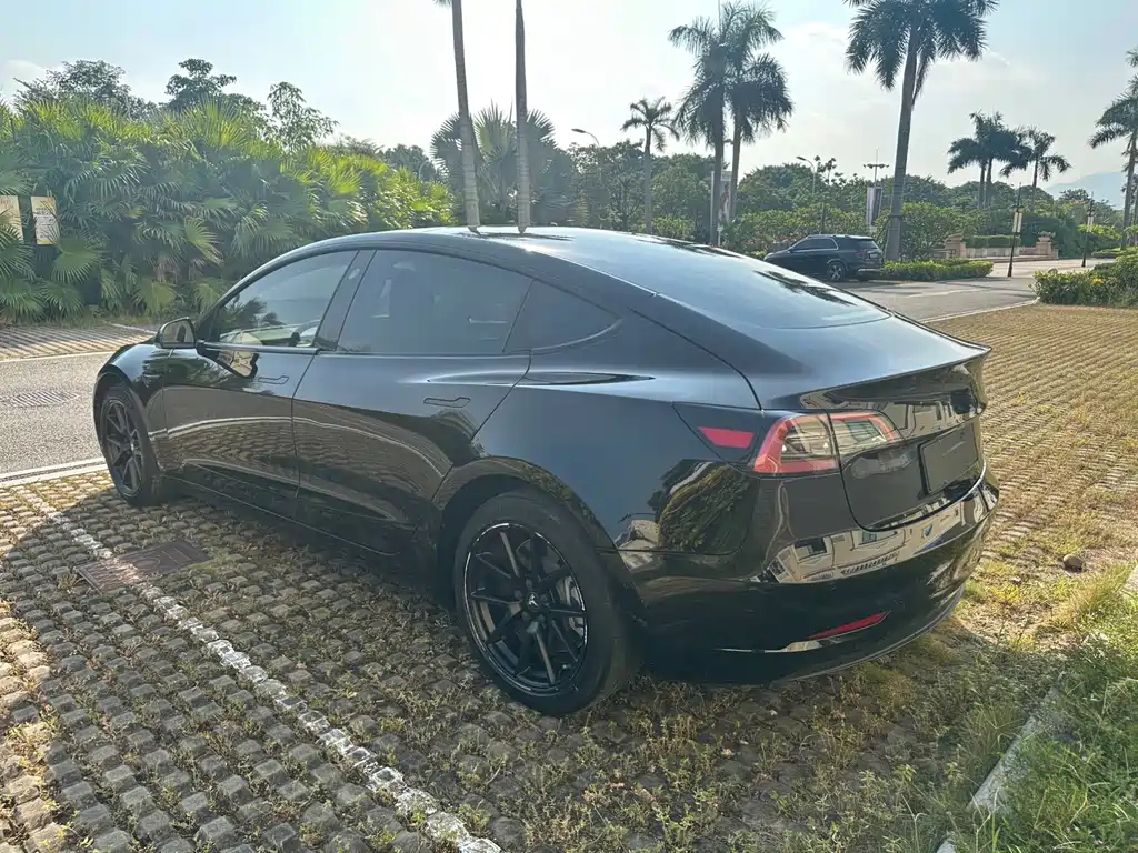Tesla Model 3 — миниатюра 7
