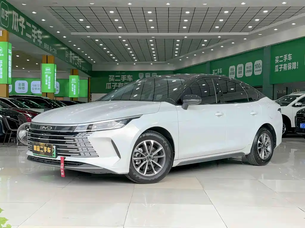 BYD Destroyer 05