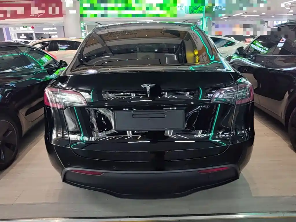 Tesla Model Y — миниатюра 6