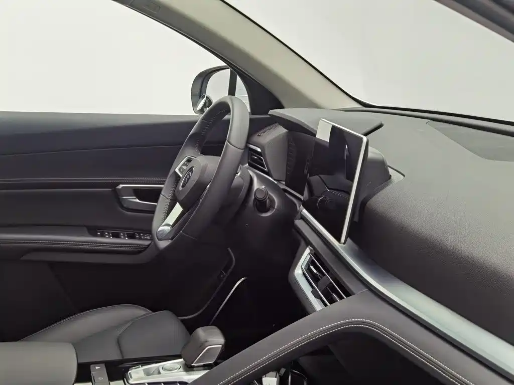BYD Pro — миниатюра 22