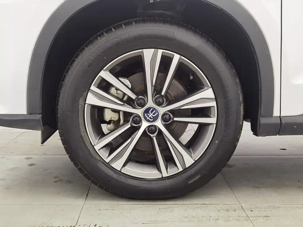 BYD Pro — миниатюра 17