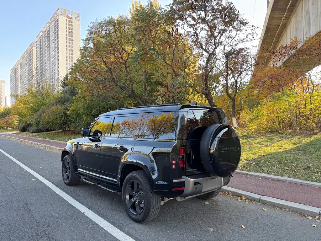 Land Rover Defender — миниатюра 4