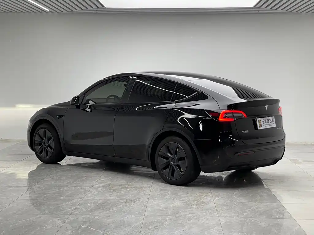 Tesla Model Y — миниатюра 4