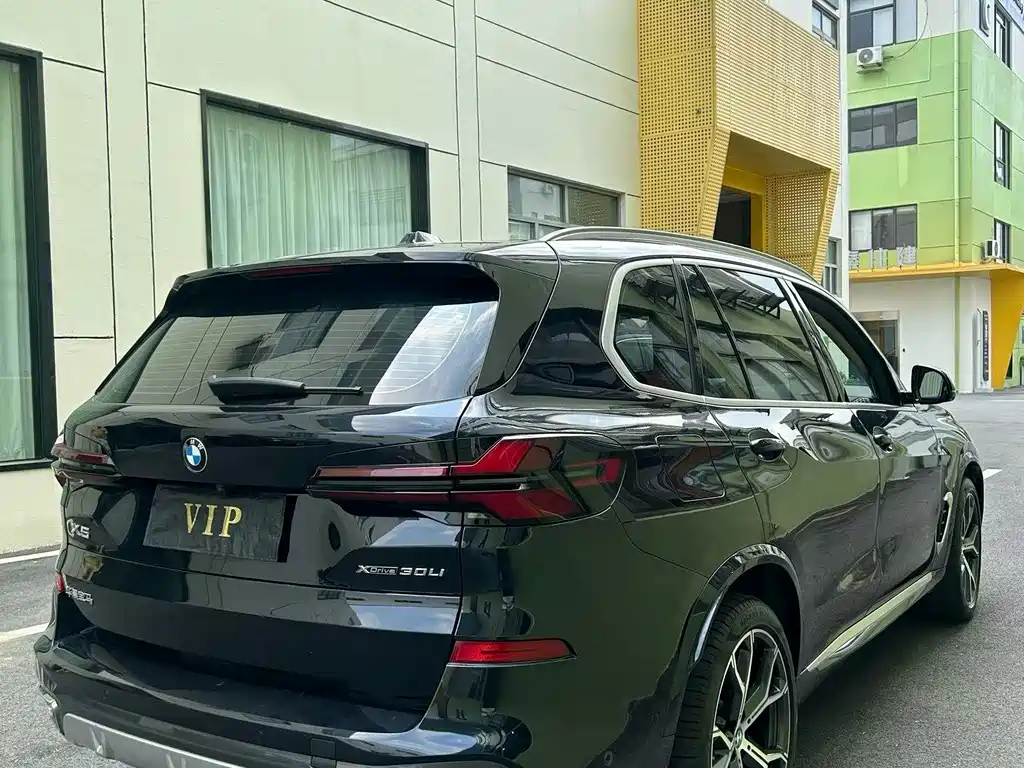 BMW X5 — миниатюра 8