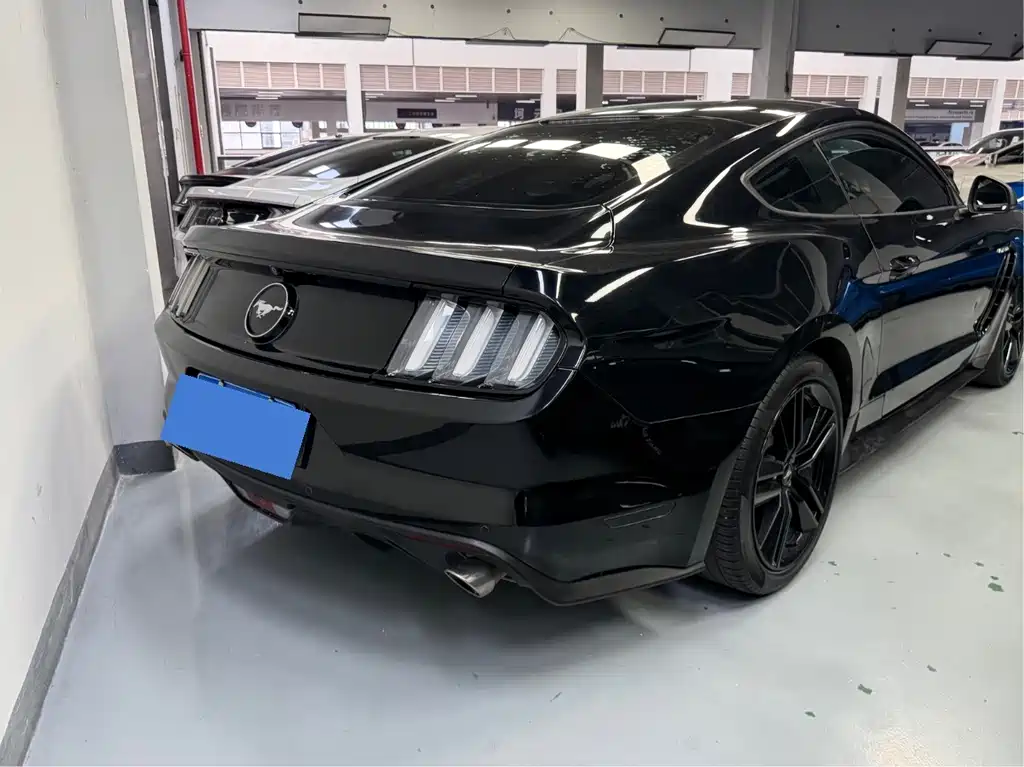 Ford Mustang — миниатюра 13