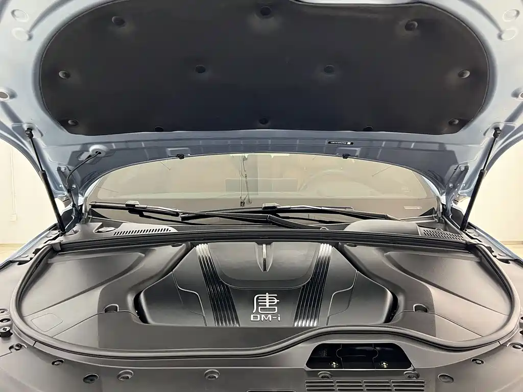 BYD Tang New Energy — миниатюра 16