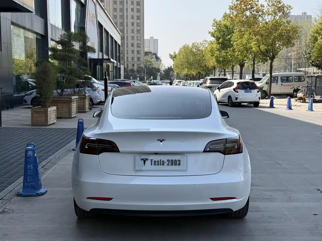 Tesla Model 3 — миниатюра 5