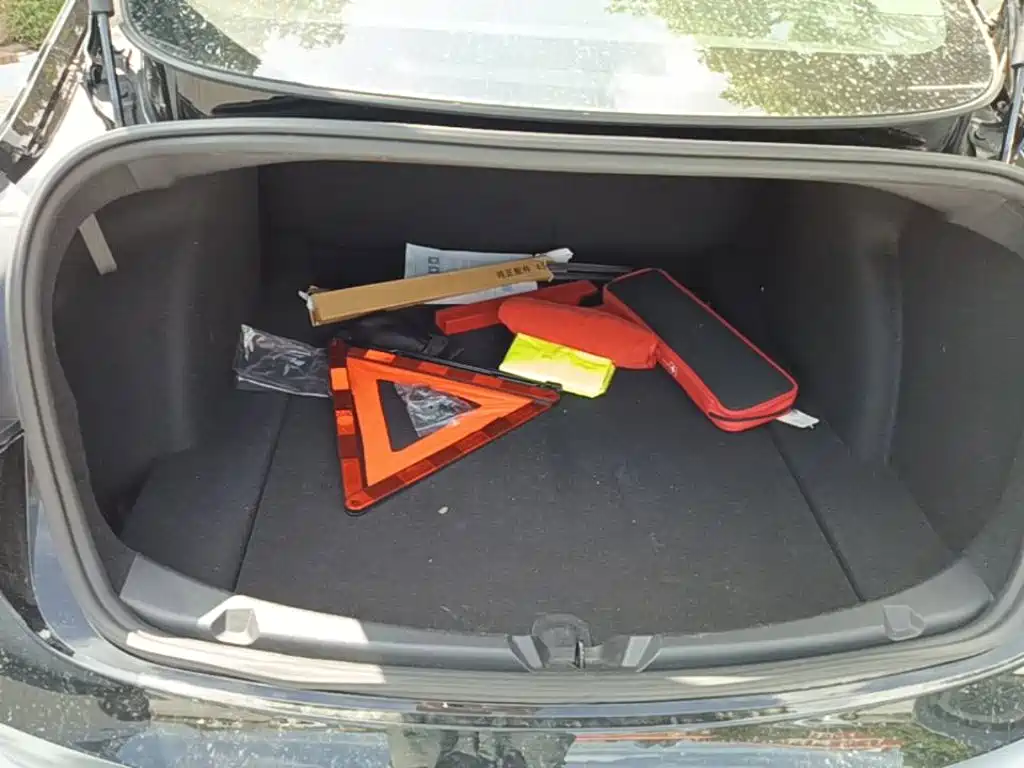 Tesla Model 3 — миниатюра 19