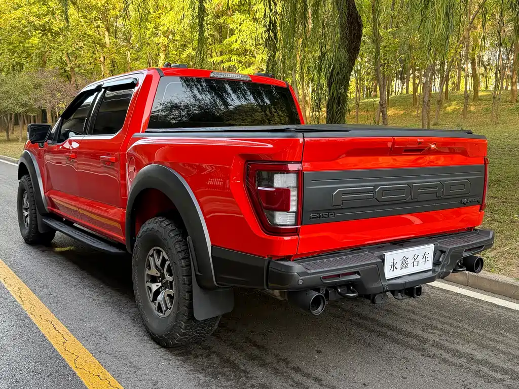 Ford F-150 Raptor — миниатюра 11