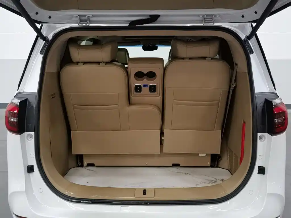 Buick GL8 — миниатюра 16