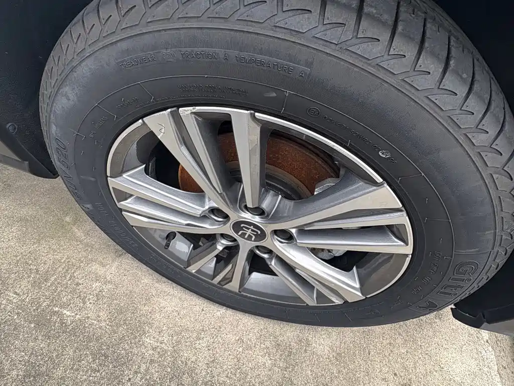 BYD Pro — миниатюра 5