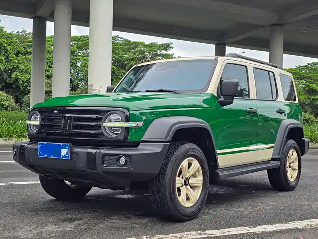 2024 TANK 300