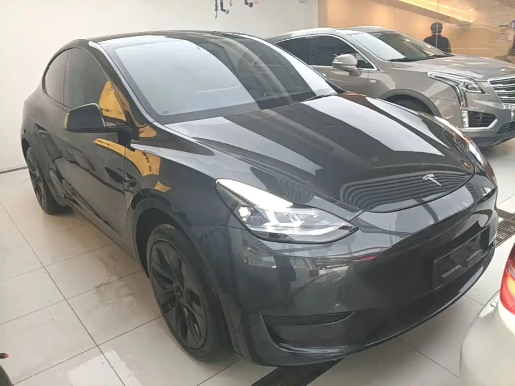 Tesla Model Y — миниатюра 4